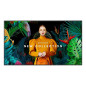 Monitor Samsung QB75C 4K Ultra HD 75"