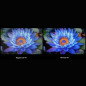 Smart TV Xiaomi MINILED 2025 LED 4K Ultra HD 75"