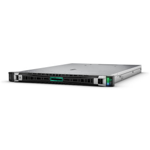 Server HPE P81840-425
