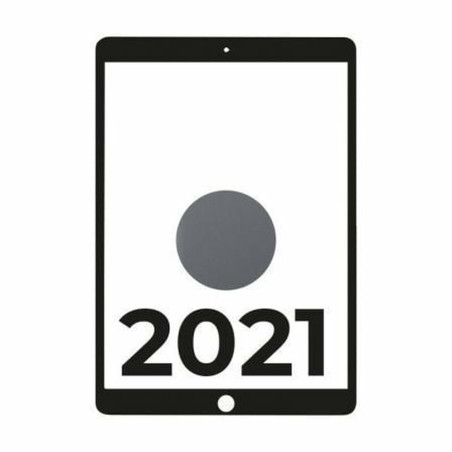 Tablet Apple iPad A13 3 GB RAM 6 GB RAM 256 GB Grey