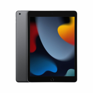 Tablet Apple iPad A13 3 GB RAM 6 GB RAM 256 GB Grigio