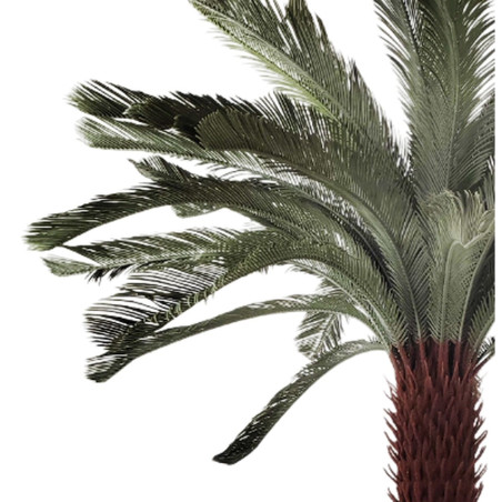 Pianta Decorativa Home ESPRIT Polietilene Palma