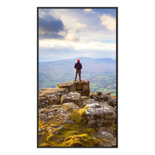 Monitor Videowall Sharp 60006181 4K Ultra HD 43"