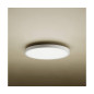 XIAOMI SMART CEILING LIGHT D30 BHR9934GL