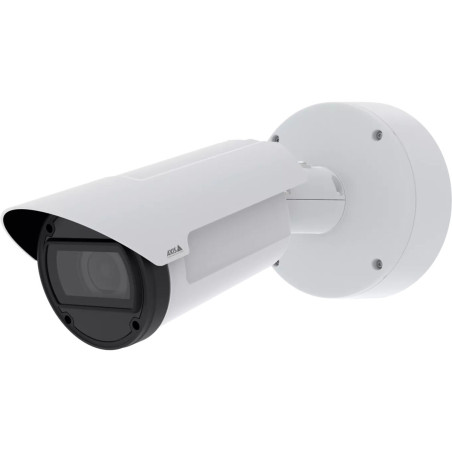 Videocamera di Sorveglianza Axis 03019-001