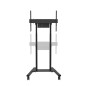 Supporto TV Neomounts FL55-875BL1