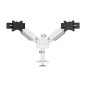 Supporto da Tavolo per Schermo Neomounts DS65S-950WH2 34"