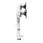 Screen Table Support Neomounts DS65S-950WH2 34" Screen Table Support Neomounts DS65S-950WH2 34"