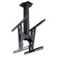 TV Mount Neomounts PLASMA-C100D 75" 37" 50 kg