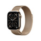 Smartwatch Apple Titanio