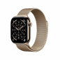 Smartwatch Apple Titanio