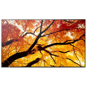 Videowall Monitor Sharp 60006057 4K Ultra HD 74,5"