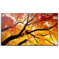 Videowall Monitor Sharp 60006057 4K Ultra HD 74,5"