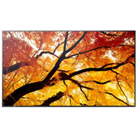 Videowall Monitor Sharp 60006057 4K Ultra HD 74,5"