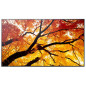 Videowall Monitor Sharp 60006057 4K Ultra HD 74,5"