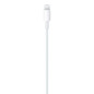 APPLE USB-C TO LIGHTNING CABLE 1M MM0A3ZM/A APPLE USB-C TO LIGHTNING CABLE 1M MM0A3ZM/A