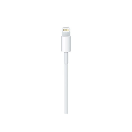 APPLE LIGHTNING TO USB CABLE 0.5M ME291ZM/A
