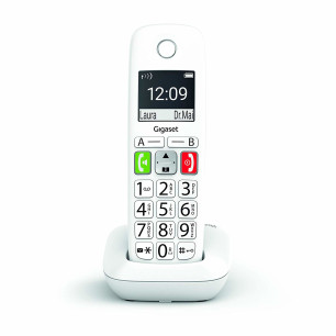 GIGASET WIRELESS PHONE E290 WHITE (S30852-H2901-D202)