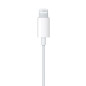 APPLE EARPODS WITH LIGHTNING CONNECTOR MWTY3ZM/A