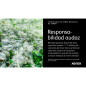 Toner Originale Xerox 006R04624 Nero