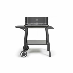 Barbecue Portatile Livoo Acciaio inossidabile