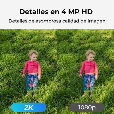 Videocamera di Sorveglianza Reolink