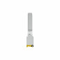 Modulo Fibra SFP+ MultiModale Netgear AXM765-20000S Modulo Fibra SFP+ MultiModale Netgear AXM765-20000S