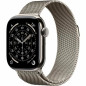 Smartwatch Apple Titanium