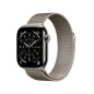 Smartwatch Apple Titanium
