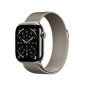Smartwatch Apple Titanio