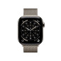 Smartwatch Apple Titanium