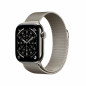 Smartwatch Apple Titanium