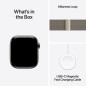 Smartwatch Apple Titanio