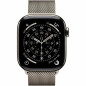 Smartwatch Apple Titanio